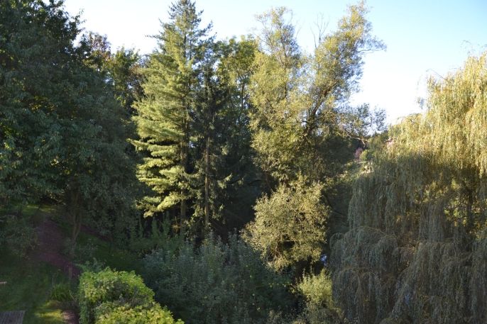 Prodej, Rodinný dům, Heřmánkovice