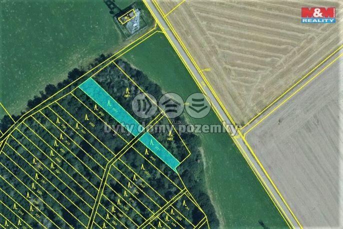 Prodej, Les, Držovice