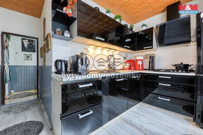 Prodej, Byt 2+1, Bor