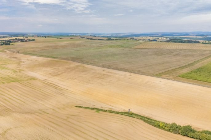 Prodej, Pole, Hlohovice