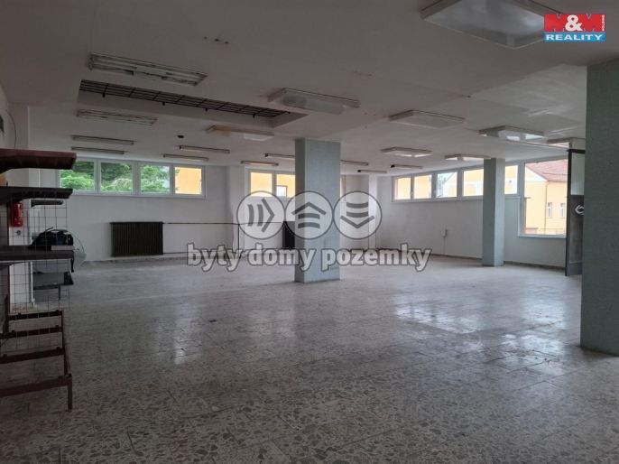 Pronájem, Obchod a služby, Čestice