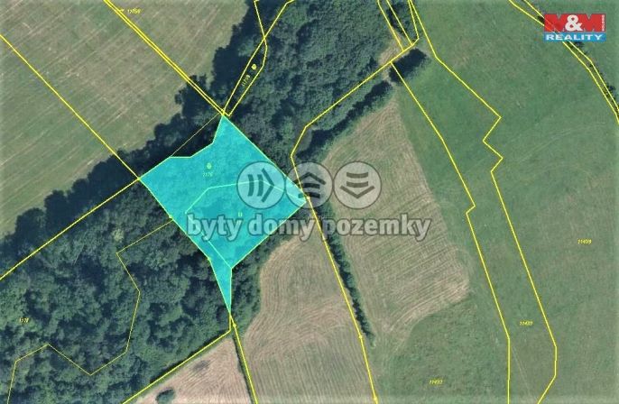 Prodej, Les, Český Těšín