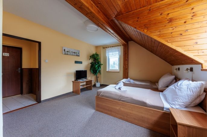 Prodej, Hotel, penzion, Chodov