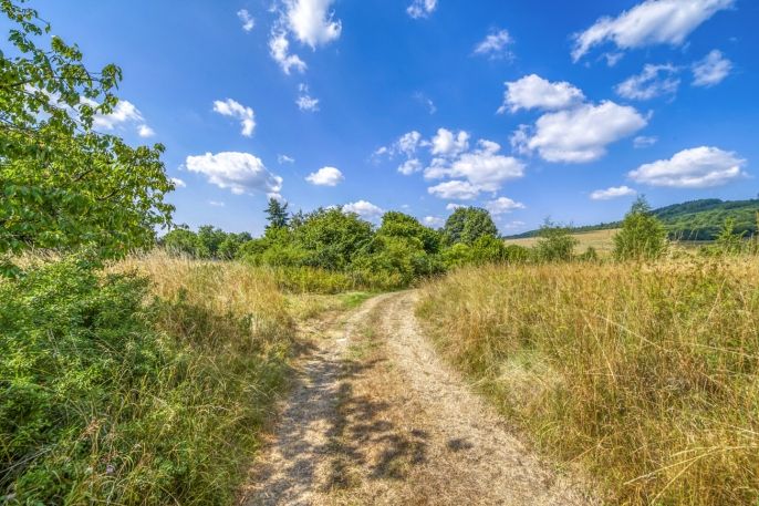 Pronájem, Pozemek k bydlení, Kokašice