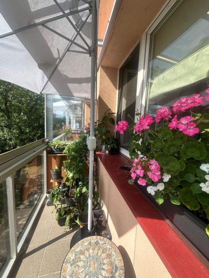 Prodej, Byt 3+1, Frýdek-Místek
