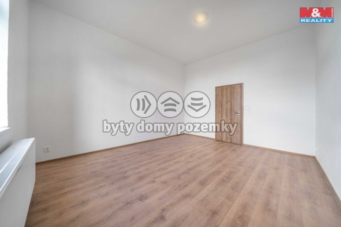 Prodej, Byt 4+kk, Plešnice