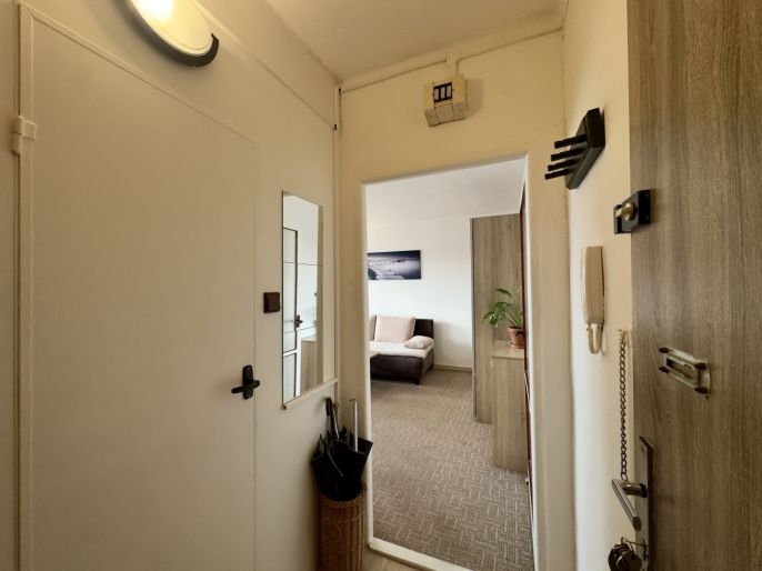 Prodej, Byt 1+1, Ostrava