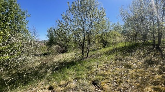 Prodej, Pozemek k bydlení, Blatná