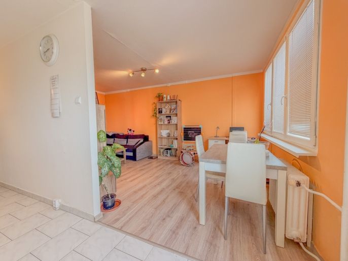 Prodej, Byt 3+1, Most