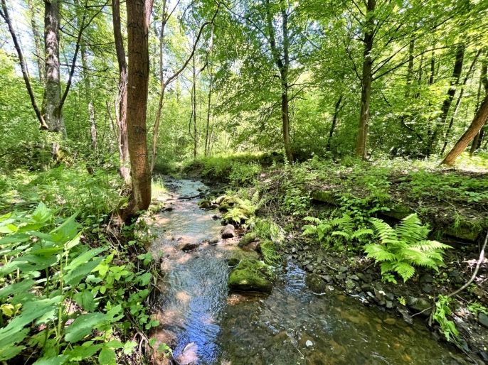 Prodej, Vodní plocha, Skalice u České Lípy