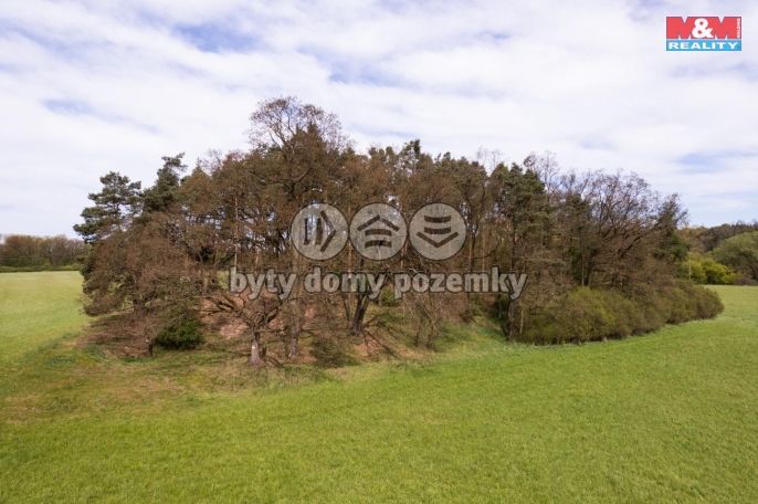 Prodej, Les, Borohrádek