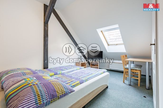 Prodej, Hotel, penzion, Třeboň