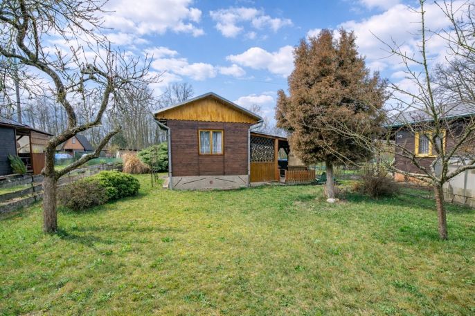 Prodej, Chata, Borohrádek