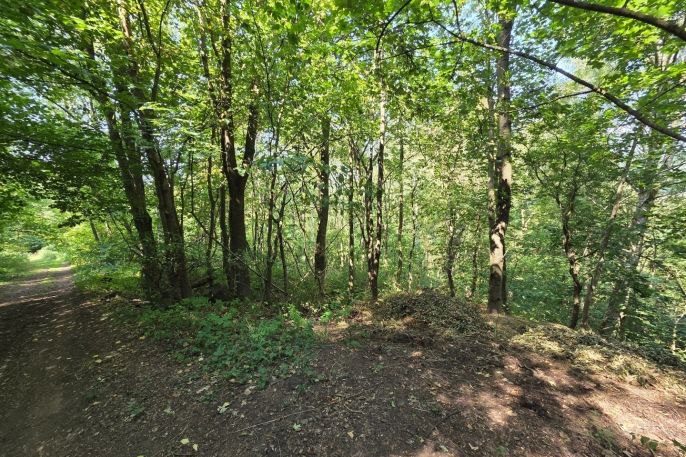 Prodej, Ostatní, Šemnice