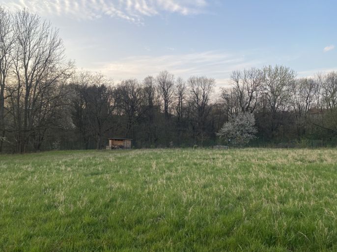 Prodej, Pozemek k bydlení, Dobruška