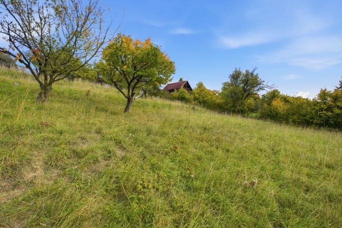 Prodej, Pozemek k bydlení, Žitenice