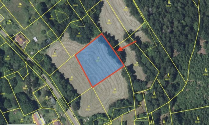 Prodej, Louka, Tanvald