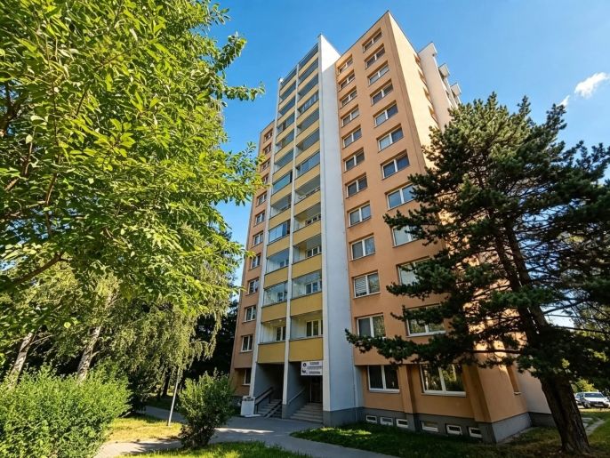 Prodej, Byt 1+kk, Karviná
