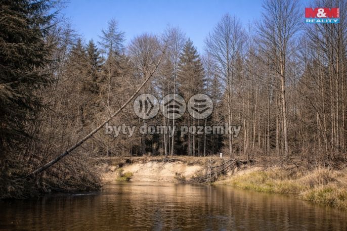 Prodej, Vodní plocha, Dvory nad Lužnicí