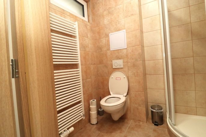 Pronájem, Byt 1+kk, Ostrov