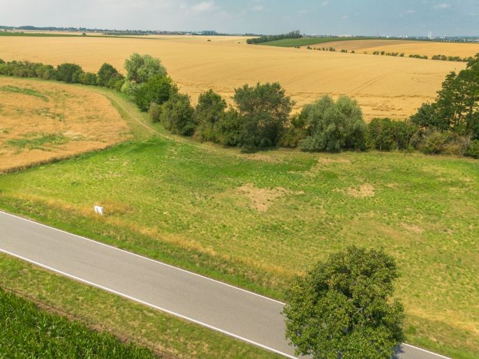Prodej, Pozemek k bydlení, Libenice