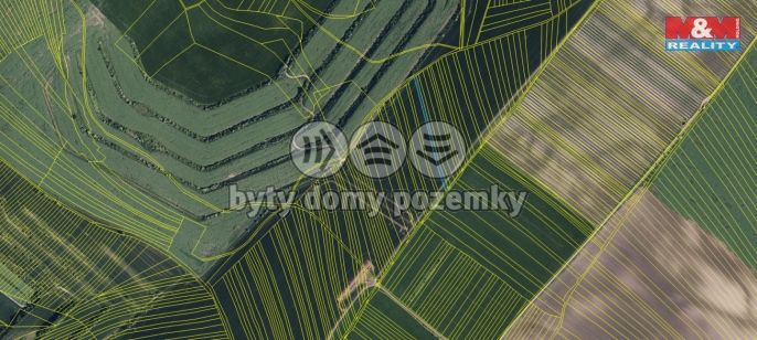 Prodej, Pole, Dambořice