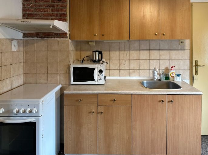 Pronájem, Byt 1+1, Jablonné nad Orlicí