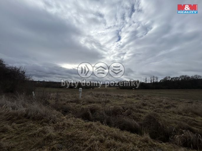 Prodej, Pole, Blatno