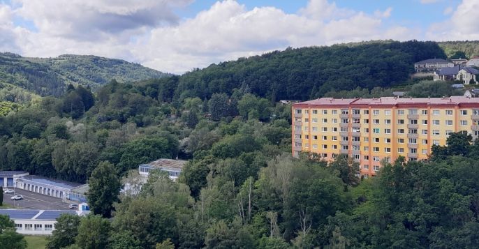 Prodej, Byt 3+1, Chomutov