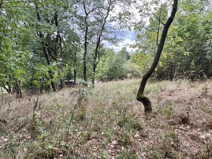 Prodej, Pozemek k bydlení, Pyšely