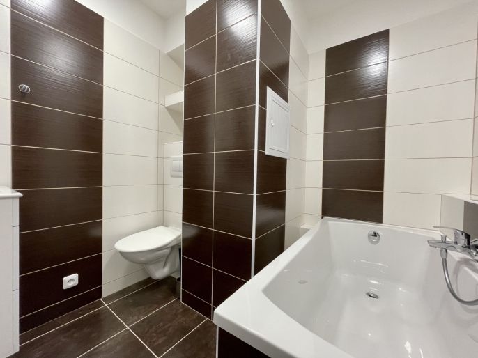 Pronájem, Byt 1+1, Chomutov