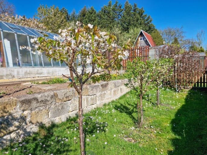 Prodej, Zahrada, Nový Bor