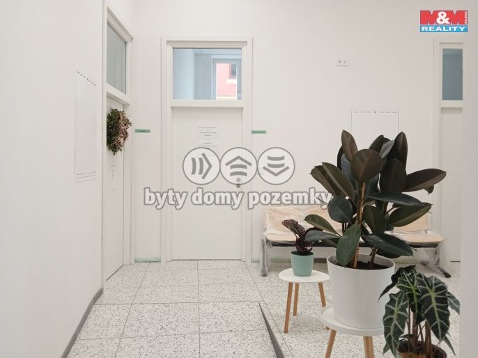 Pronájem, Obchod a služby, Opava