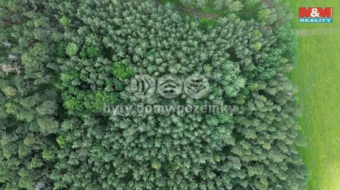 Prodej, Les, Chotilsko