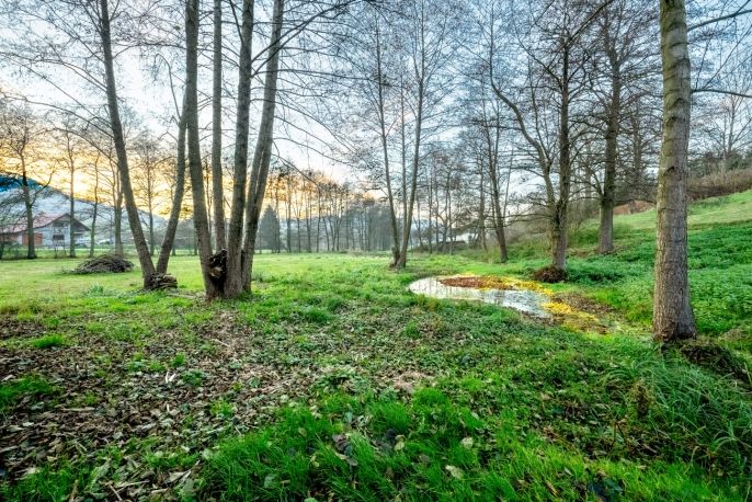 Prodej, Rodinný dům, Dolní Dobrouč