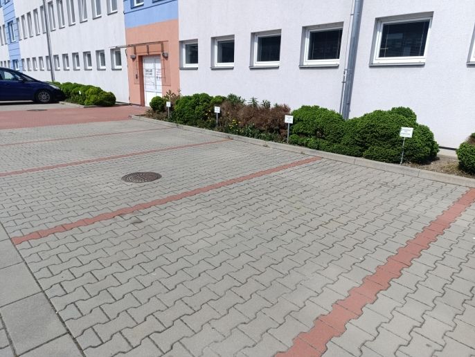 Pronájem, Ostatní, Opava