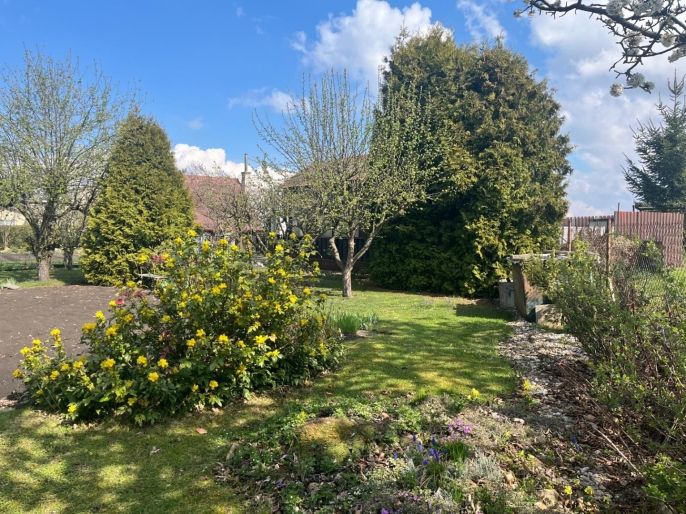 Prodej, Zahrada, Měrunice