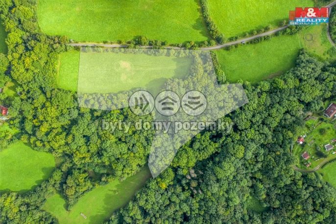 Prodej, Les, Homole u Panny