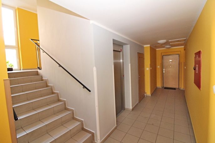 Pronájem, Byt 3+1, Nový Bor