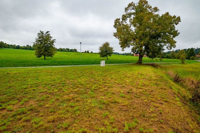 Prodej, Provozní plocha, Zlatá Koruna