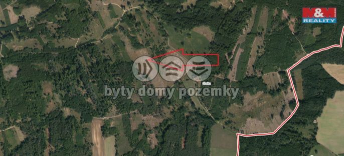 Prodej, Les, Jetětice