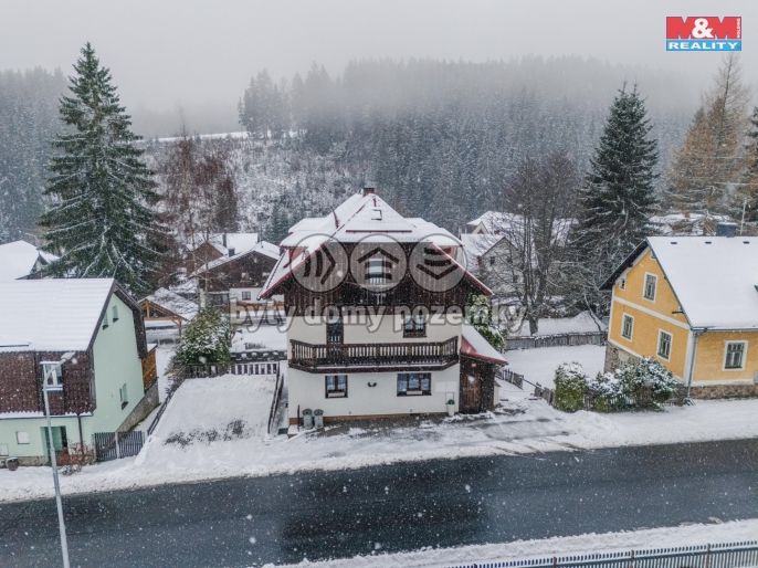 Prodej, Hotel, penzion, Železná Ruda