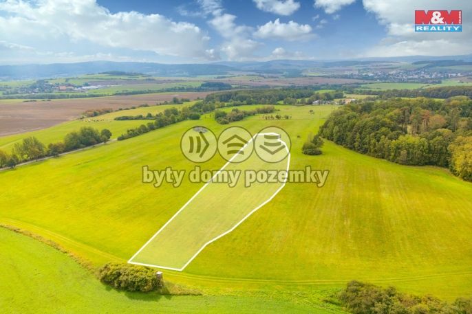 Prodej, Louka, Spálené Poříčí