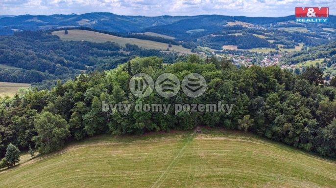 Prodej, Louka, Prlov