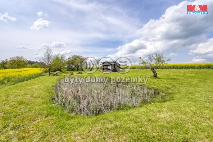 Prodej, Pole, Ostrov u Bezdružic