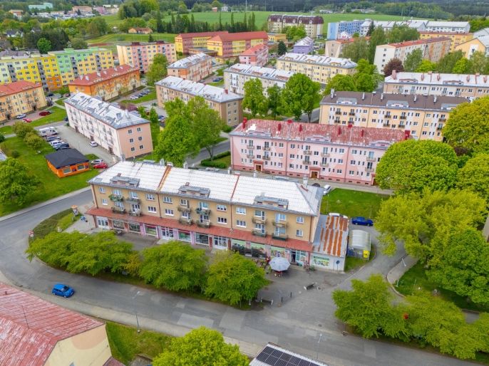 Prodej, Byt 3+1, Horní Slavkov