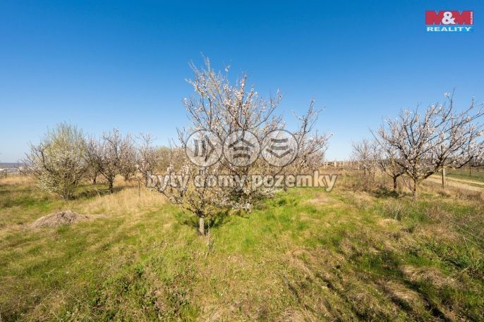 Prodej, Pozemek k bydlení, Dobšice