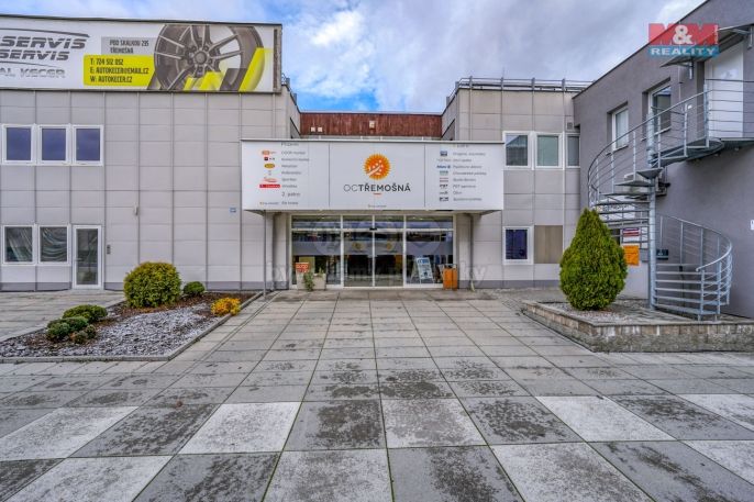 Pronájem, Obchod a služby, Třemošná