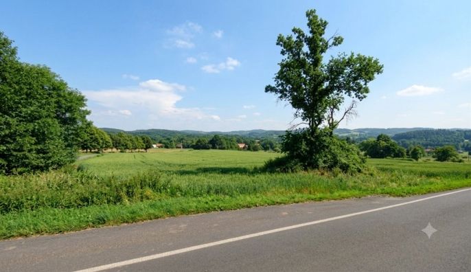 Prodej, Pole, Petrovice
