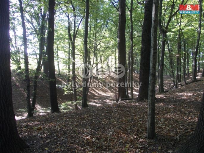 Prodej, Les, Ostrava